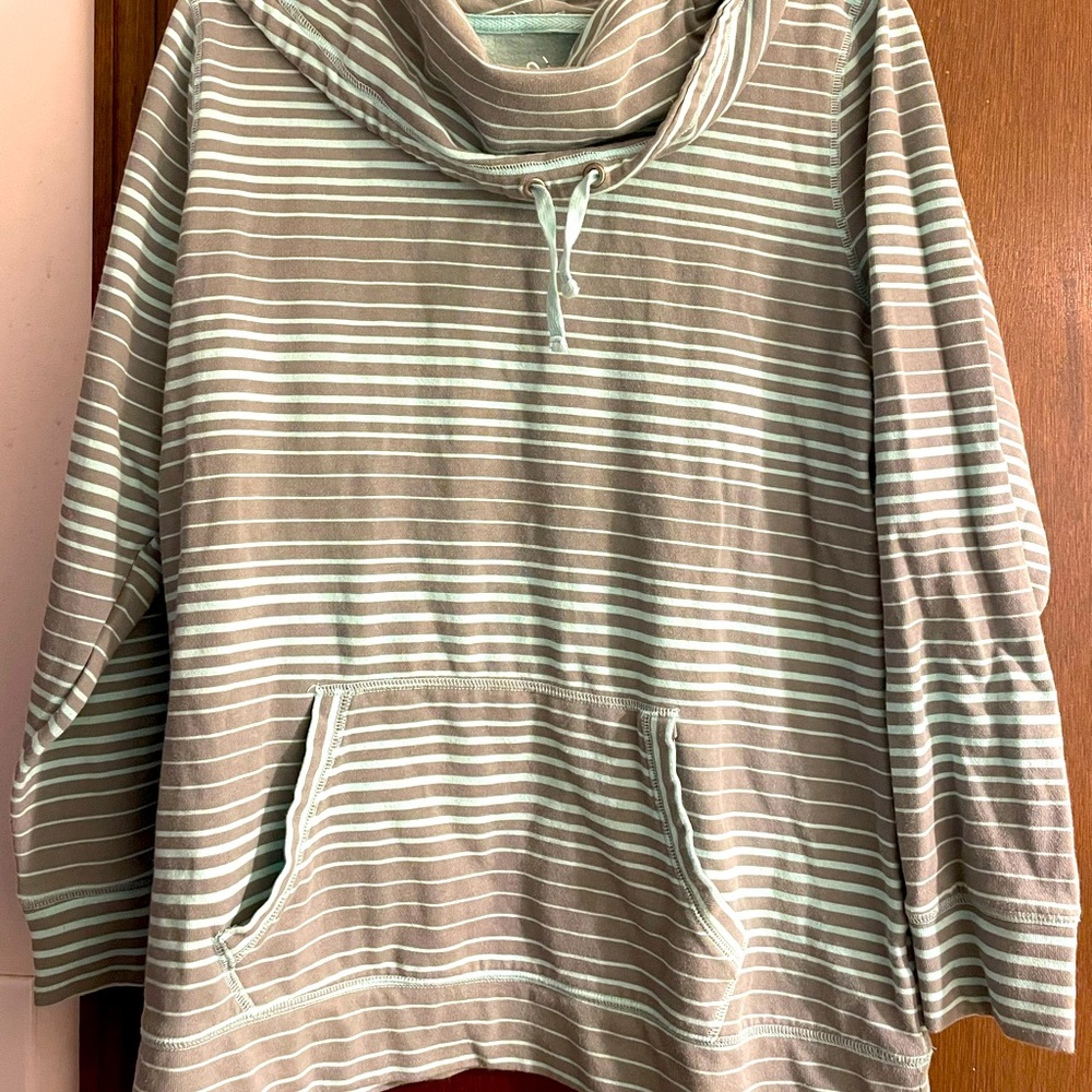 Excellent condition teal & gray sweatshirt!